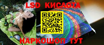 спайс Гагарин