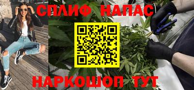 дмт Гатчина