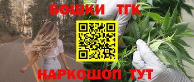 дмт Гатчина