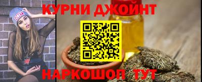 дмт Гатчина