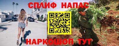 спайс Гагарин