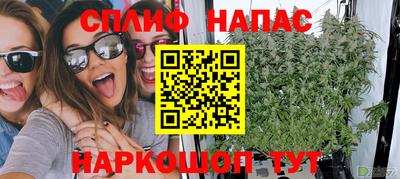 спайс Гагарин