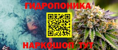 спайс Гагарин