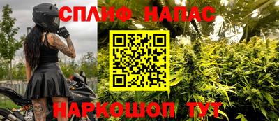 дмт Гатчина