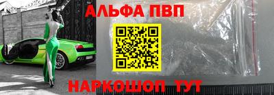 дмт Гатчина