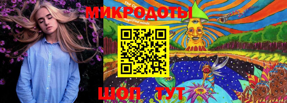 Галлюциногенные грибы Psilocybine cubensis Нефтекамск
